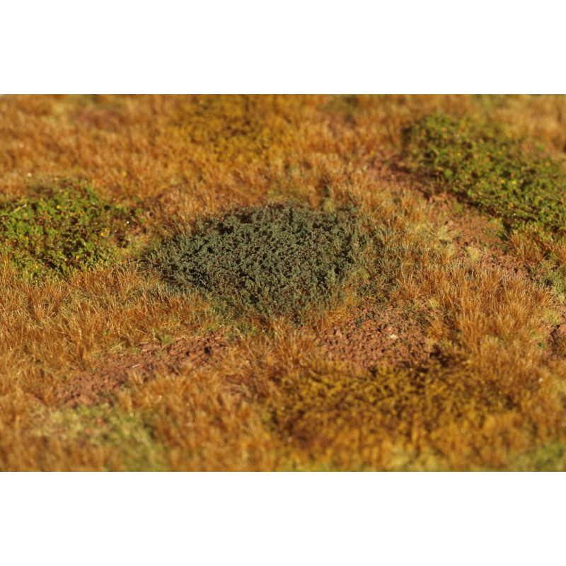 Welberg Scenary, Landskapsplatts [m016]