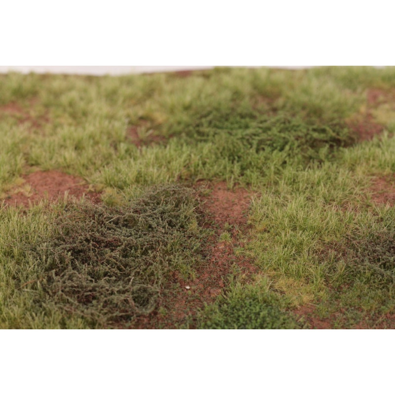 Welberg Scenary, Landskapsplatts [m015]