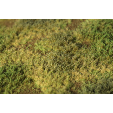 Welberg Scenary, Landskapsplatts [m006]