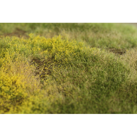 Welberg Scenary, Landskapsplatts [m021]